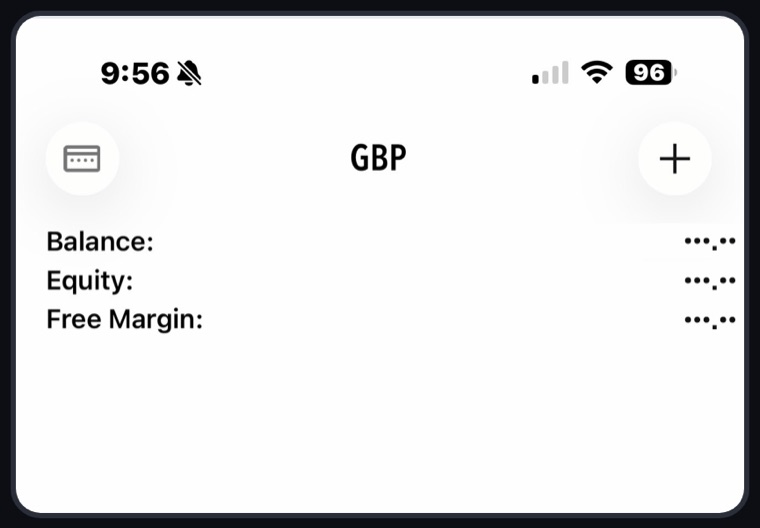 MetaTrader 5 Trade tab showing the account currency, balance, equity and free margin